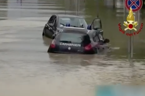 網路截圖