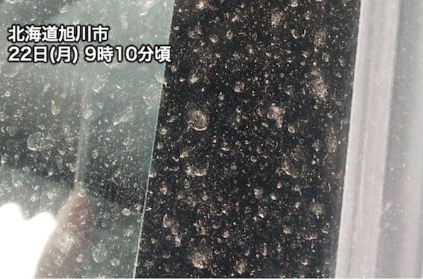 網路圖片