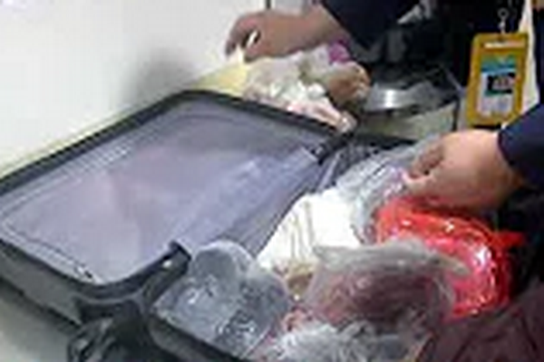 圖擷取自網路
