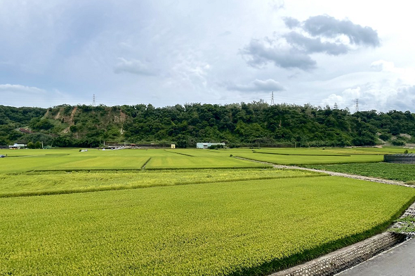 中研院表示,農地是確保糧食安全關鍵,但因無直接外顯的經濟利益易遭忽視。示意圖。攝影:劉庭莉