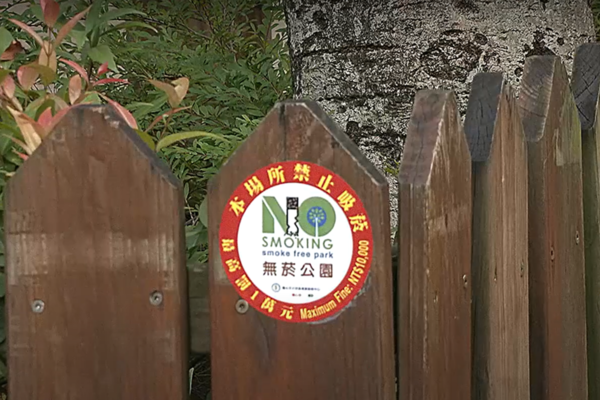 圖片截自網路影片
