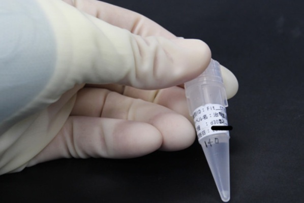 圖片擷取自京都大學iPS細胞研究所網站。