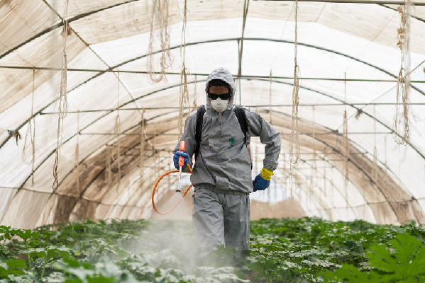 研究發現,劇毒性農藥賣進貧窮國家的比例高於富裕國家。照片來源:Thomas Cristofoletti for USAID(CC BY-NC 2.0)