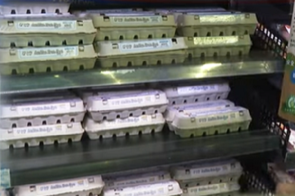 網路截圖