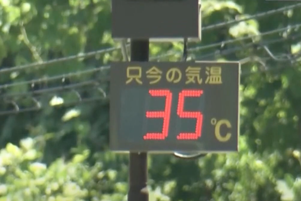 網路截圖