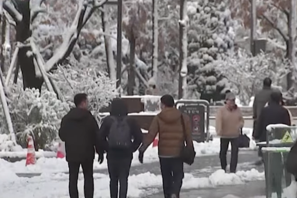 網路截圖