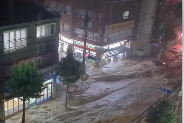 網路截圖
