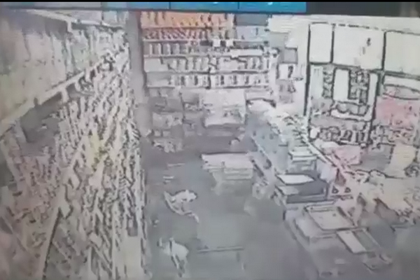 圖擷取自網路