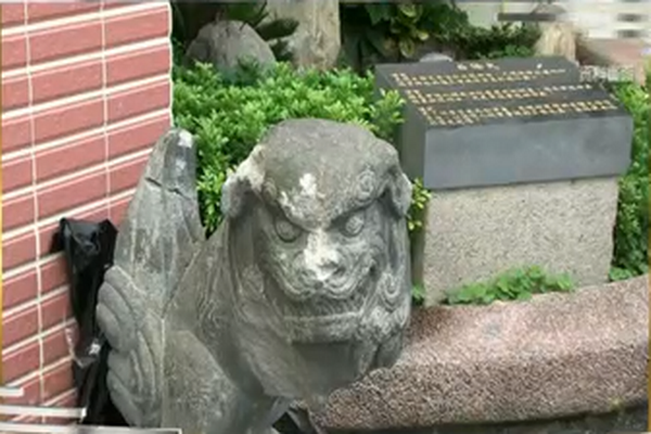 圖擷取自網路