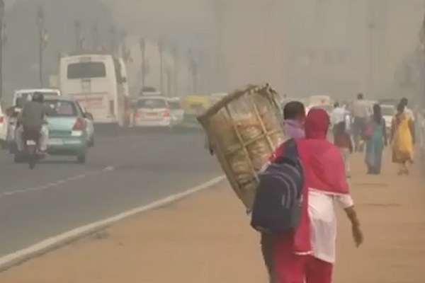 圖擷取自網路