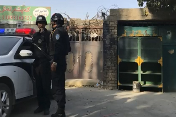 圖擷取自網路