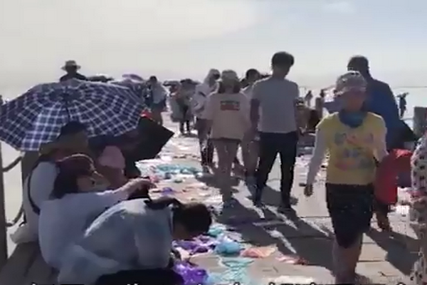 圖擷取自網路