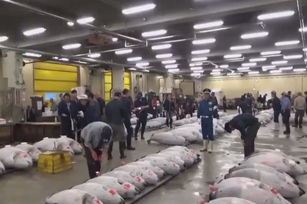 圖擷取自網路