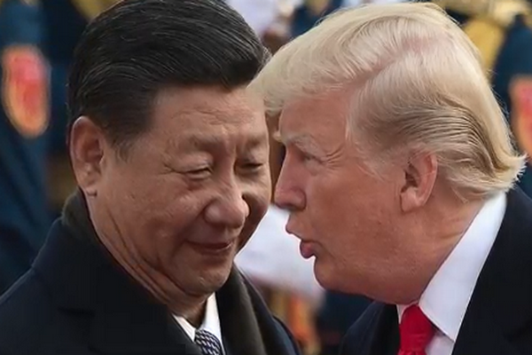 (圖片擷取自網路)