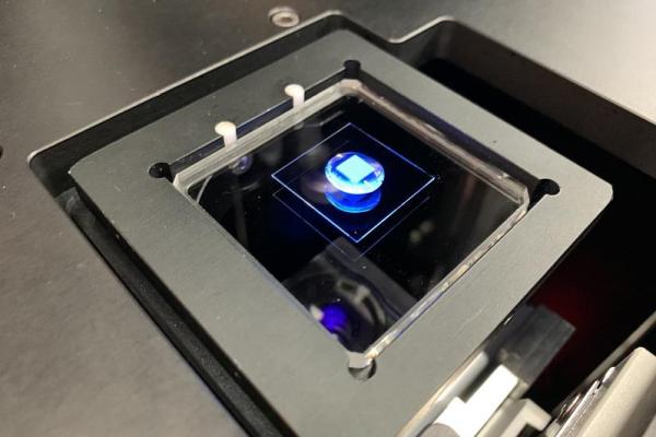 結合數位灰階、失焦法及光固化樹脂,並運用數位光處理(DLP) 3D列印技術製造微透鏡陣列。