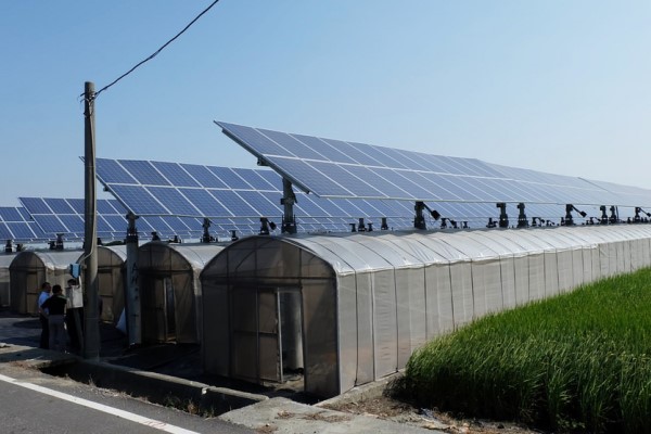 綠源科技位於雲林的追日型太陽光電場域。(圖片來源:環資中心)