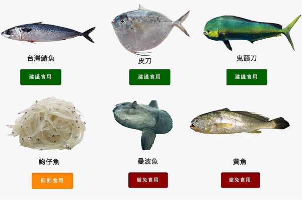 《臺灣海鮮選擇指南》5.0調整多種海鮮的評級,台灣常見海鮮皆入列。製圖:吳宜靜;魚種圖片來源:《臺灣海鮮選擇指南》。