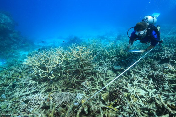 https://www.coralcoe.org.au/person/james-kerry
