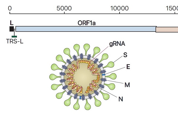 圖/基礎科學研究院