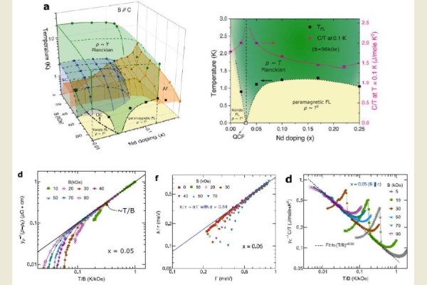 上圖:稀土族重費米子超導體Ce1-xNdxCoIn5隨著磁場與Nd參雜濃度之有限溫度相圖(左上圖),及固定磁場下隨著Nd參雜濃度之有限溫度相圖(右上圖)。 下圖:普朗克奇異金屬態於電阻率(左下圖)、電子散射率(中下圖)及比熱係數(右下圖)所展現之量子臨界行為。 (圖片擷取自國科會網站)