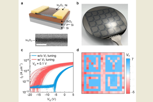 圖/陽明交大提供。