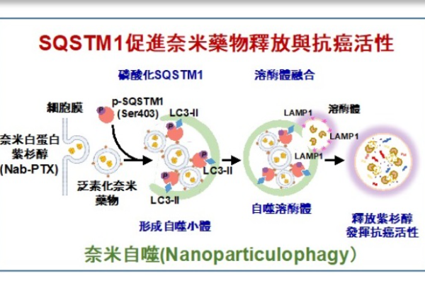 圖片擷取自陽明交大網站。