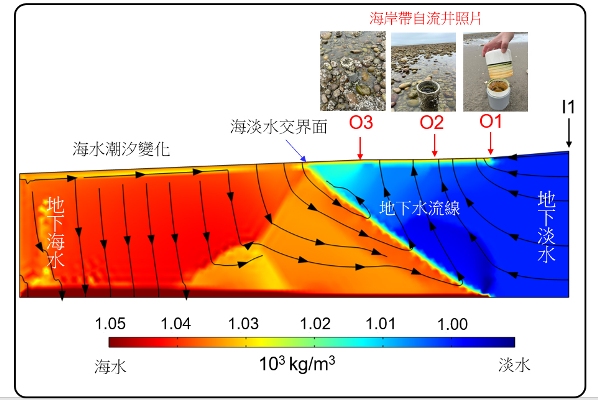 TaiCOAST潮間帶自流井(O1~O3)照片與位置;地下海水(左)與地下淡水(右)交互作用模擬結果。(王士榮副教授提供)