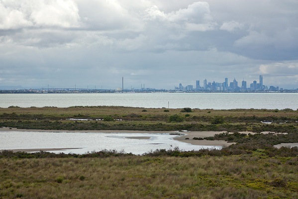 Cheetham Wetlands濕地公園可以遠眺墨爾本。圖片來源:Rexness(CC BY-SA 2.0)