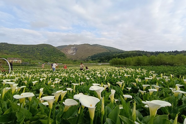 圖/北市觀傳局提供