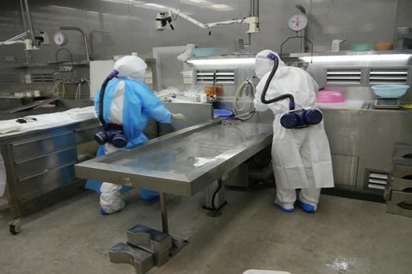 圖擷取自法務部