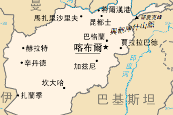 維基百科圖片