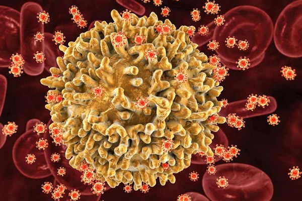 HIV病毒感染免疫系統細胞示意圖/New Scientist推特