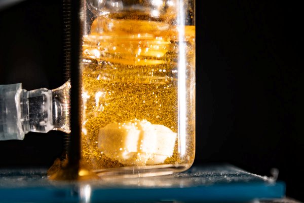 在海水中加入團隊研發的高分子催化劑後,透過光照,即產生氫氣氣泡。(圖/清大提供)