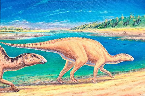 在智利發現的新物種鴨嘴龍「Gonkokennanoi」。(圖片擷取自智利大學網站)