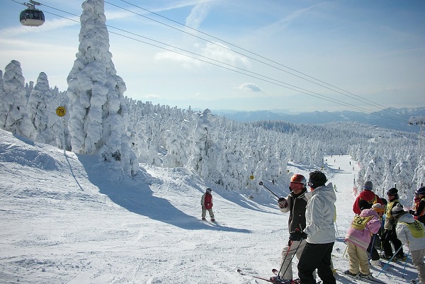 日本藏王山的樹冰/圖Pixabay